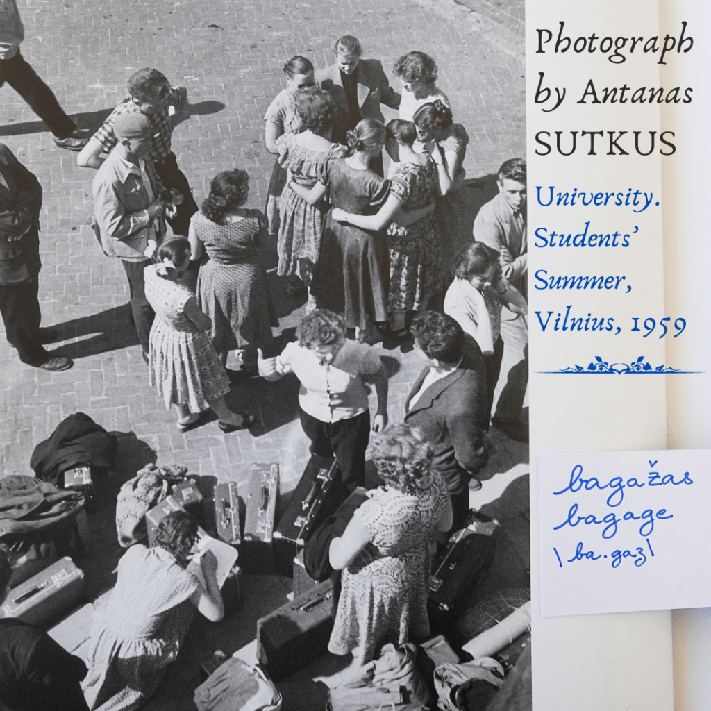 The Lithuanian language: an ancient treasure with surprising similarities to&nbsp;French